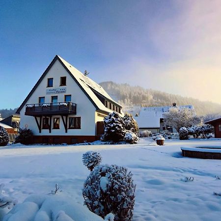 Landhaus Stremme Willingen  Esterno foto