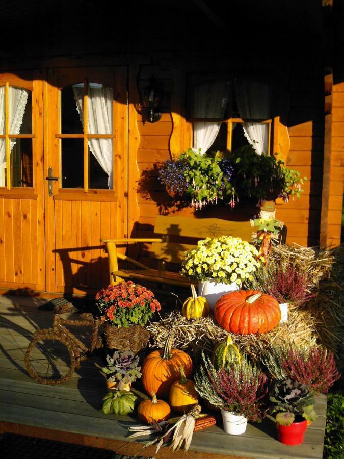 Landhaus Stremme Willingen  Esterno foto